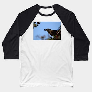 Robin Baseball T-Shirt